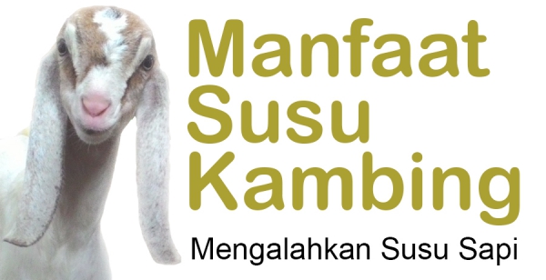 Manfaat Susu Kambing Dibanding  Susu Sapi